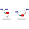 SARS-CoV-2 Nucleocapsid Protein Binding Kit (For rabbit antibody) 